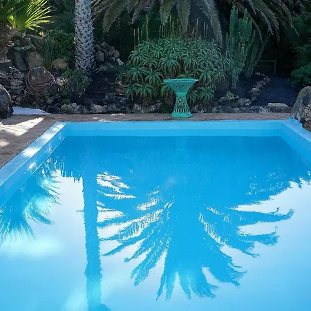 Casa Lisboa, Auf Der Finca Mimosa