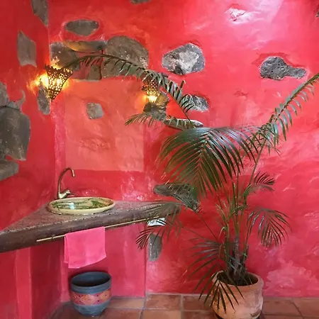 Casa Lisboa, Auf Der Finca Mimosa *