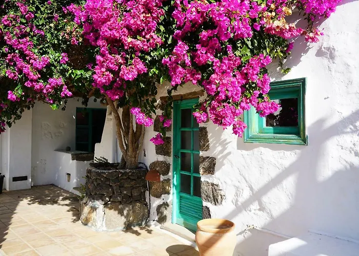 Casa Lisboa, Auf Der Mimosa