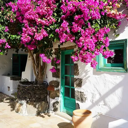Casa Lisboa, Auf Der Finca Mimosa