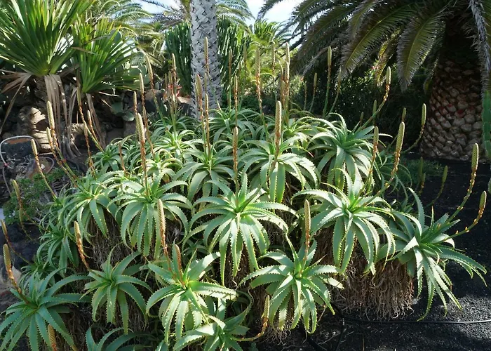 Casa Lisboa, Auf Der Mimosa Ferienhaus *