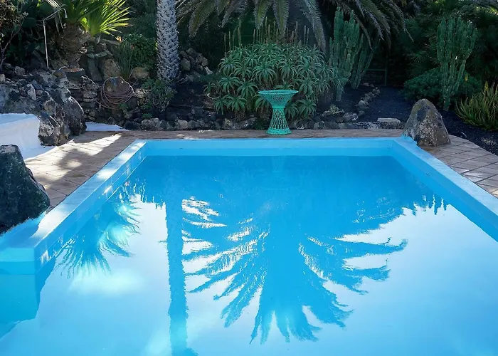 Casa Lisboa, Auf Der Mimosa