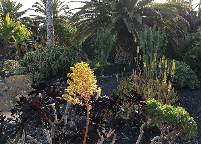 Ferienhaus Casa Lisboa, Auf Der Mimosa *