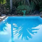 Casa Lisboa, Auf Der Mimosa
