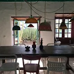 Casa Lisboa, Auf Der Mimosa *