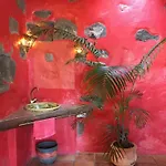 Casa Lisboa, Auf Der Mimosa *