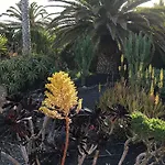 Vakantiehuis Casa Lisboa, Auf Der Mimosa *